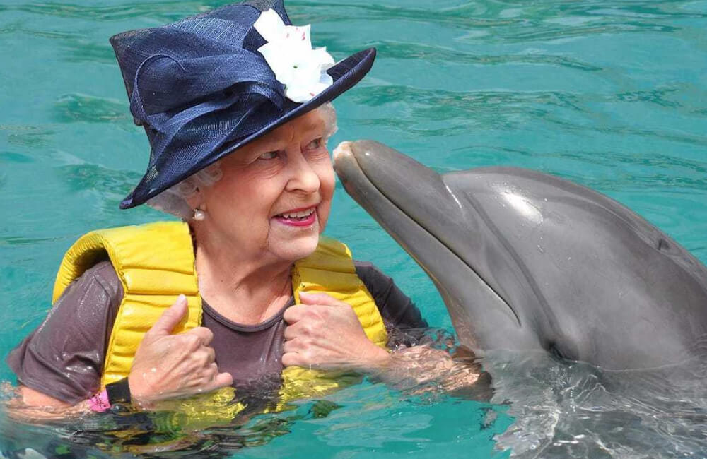 All the dolphins in the United Kingdom @ Reddit.com